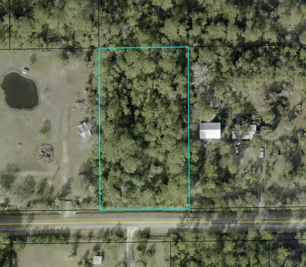 6044 Nutwood Avenue, Bunnell, FL 32110 - Image #1