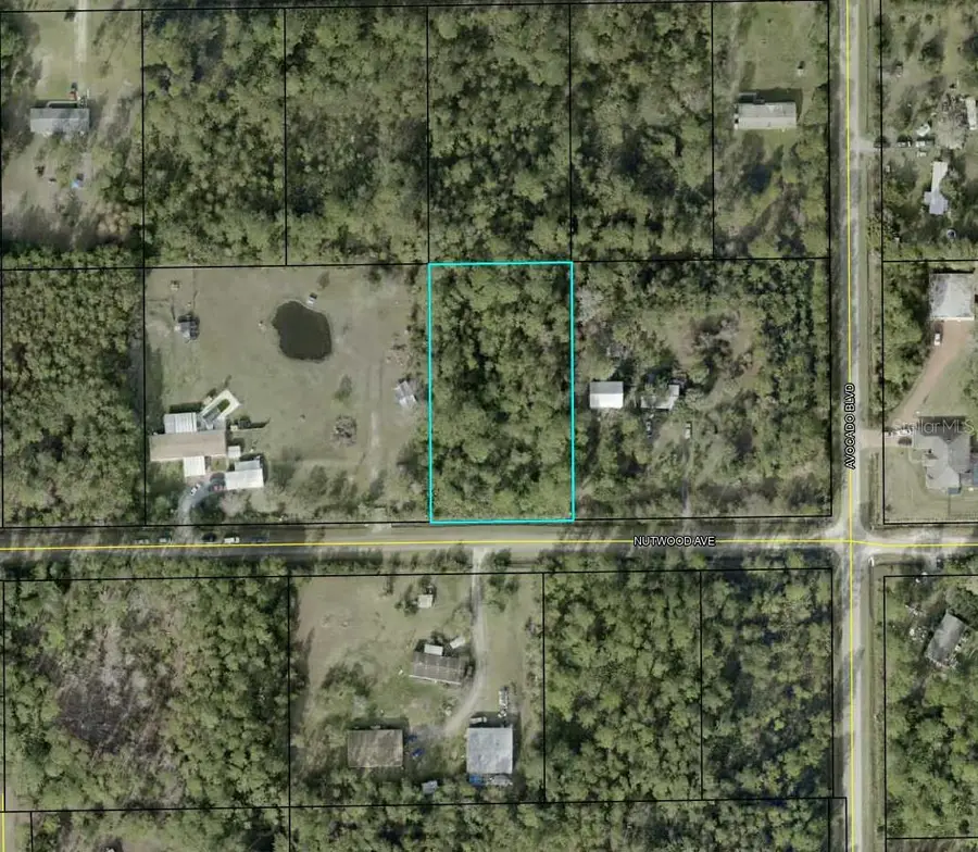 6044 Nutwood Avenue, Bunnell, FL 32110 - Image #2