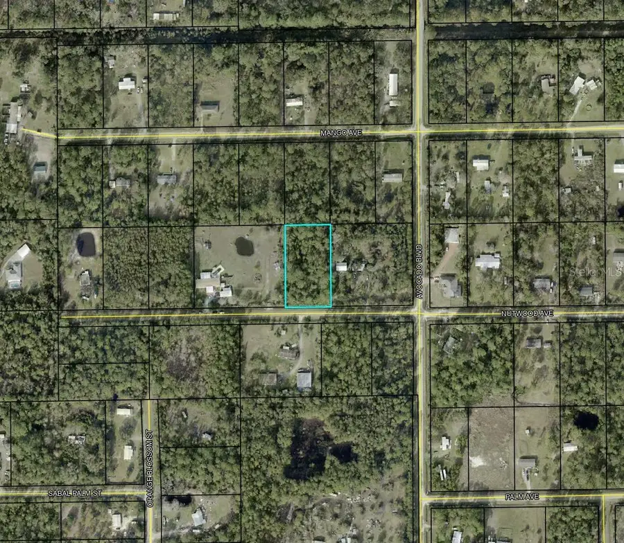 6044 Nutwood Avenue, Bunnell, FL 32110 - Image #3