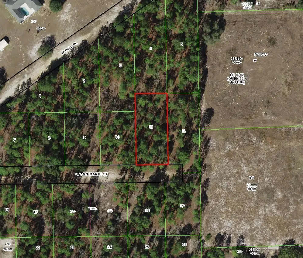 6031 W Ann Marie Court, Dunnellon, FL 34433 - Image #1