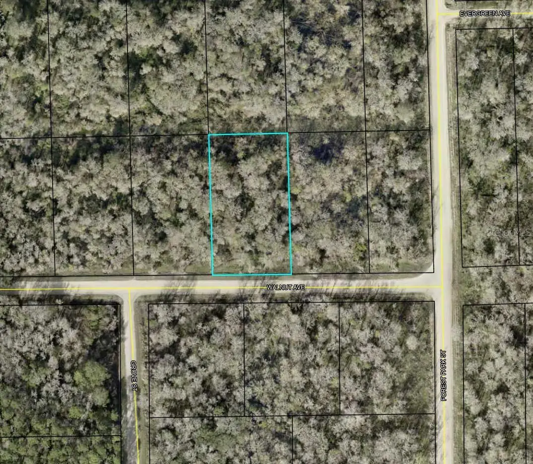 4030 Walnut Avenue, Bunnell, FL 32110 - Image #1