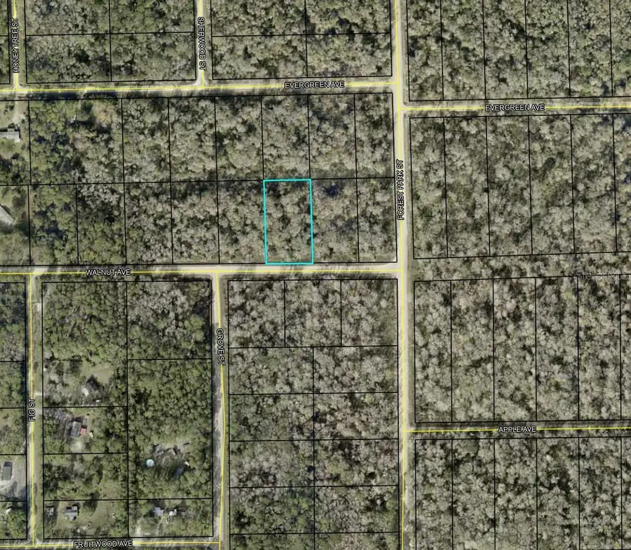 4030 Walnut Avenue, Bunnell, FL 32110 - Image #2