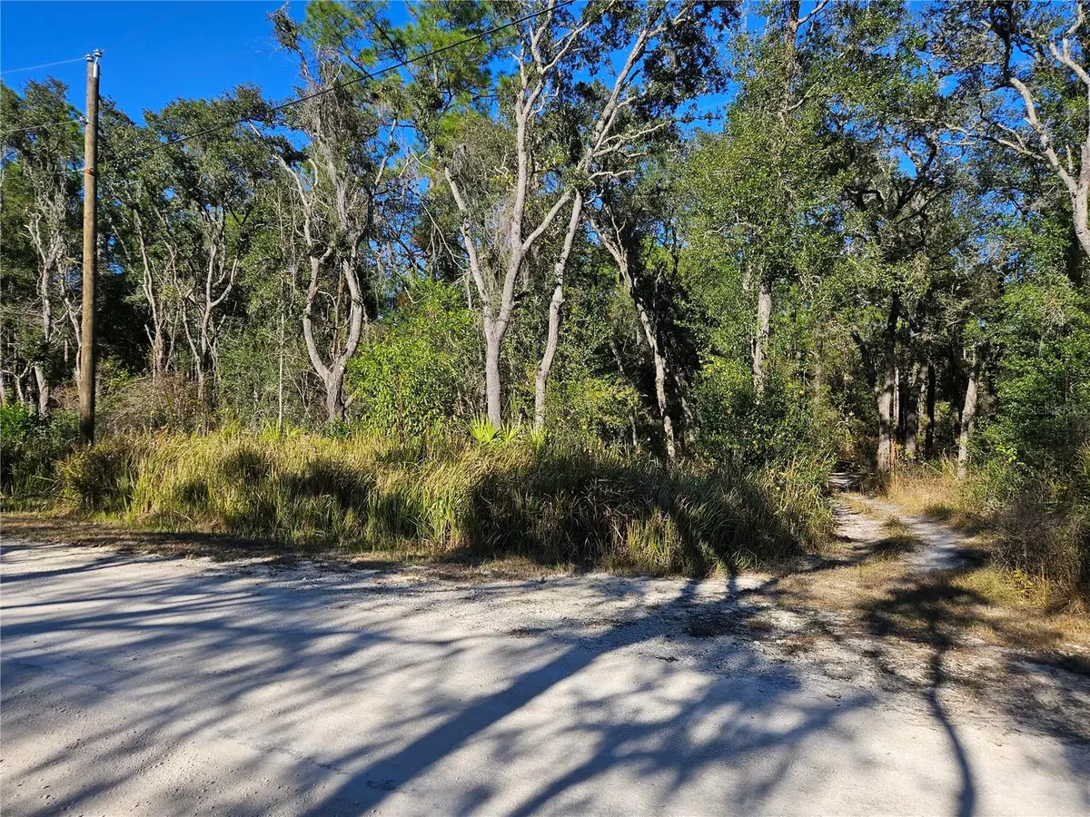 Berryhill Drive, Webster, FL 33597 - Image #1