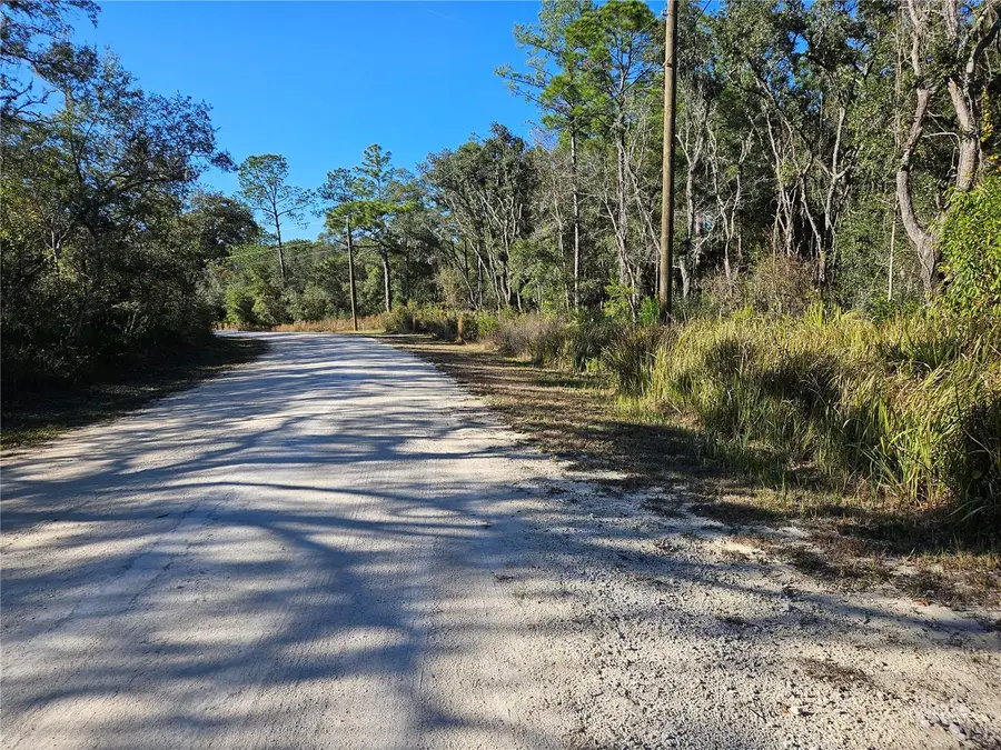 Berryhill Drive, Webster, FL 33597 - Image #2