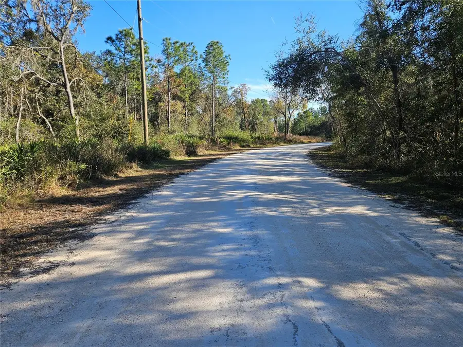 Berryhill Drive, Webster, FL 33597 - Image #3