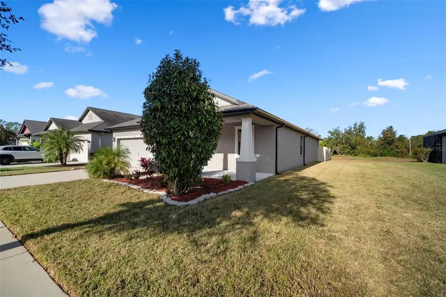 12156 Creek Preserve Drive, Riverview, FL 33579 - Image #2