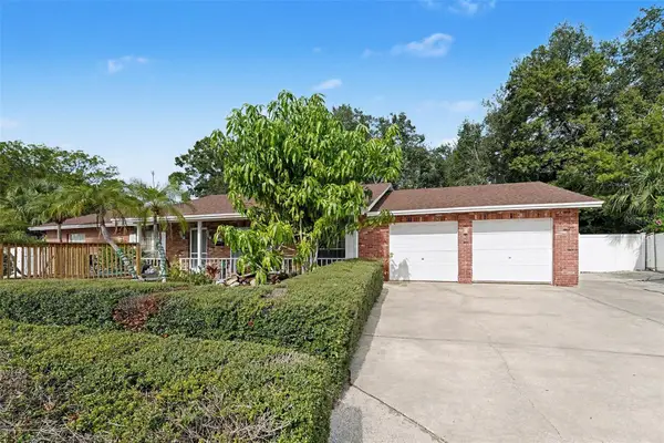 7114 Mintwood Court, TAMPA, FL 33615