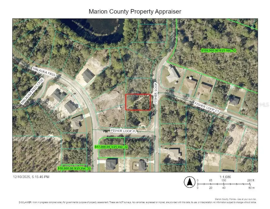 TBD Fisher Loop, Ocklawaha, FL 32179 - Image #3
