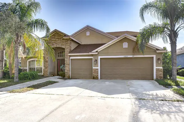 10833 Rockledge View Drive, RIVERVIEW, FL 33579