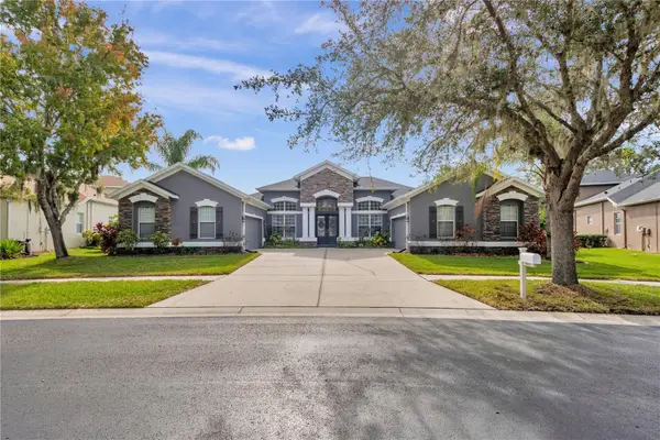 1031 Emerald Hill Way, VALRICO, FL 33594