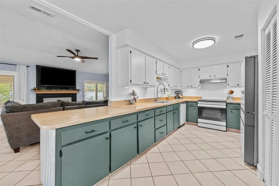 15102 Springview Street, Tampa, FL 33624 - Image #3