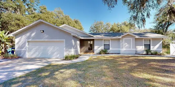 12005 Deerfoot Place, THONOTOSASSA, FL 33592