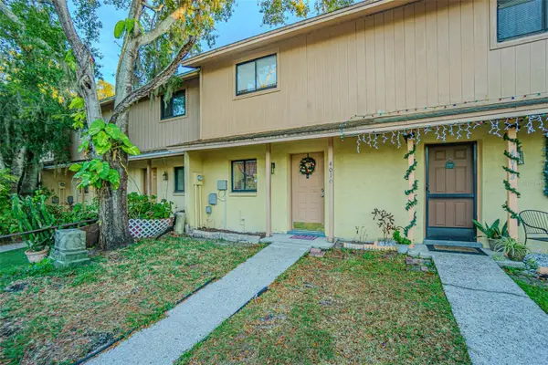 4010 Oak Limb Court, TAMPA, FL 33614