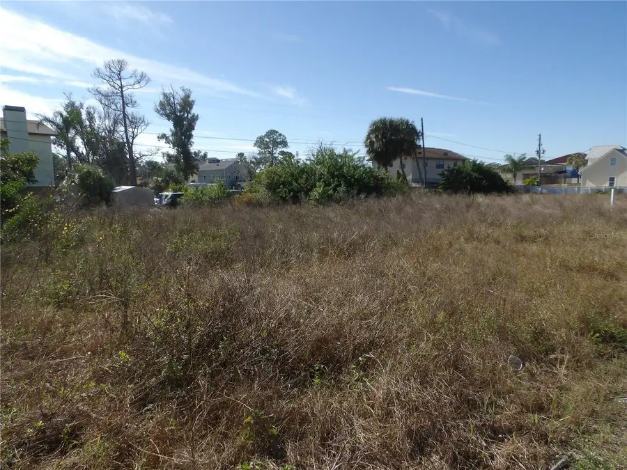 523 Doric Court, Tarpon Springs, FL 34689 - Image #3