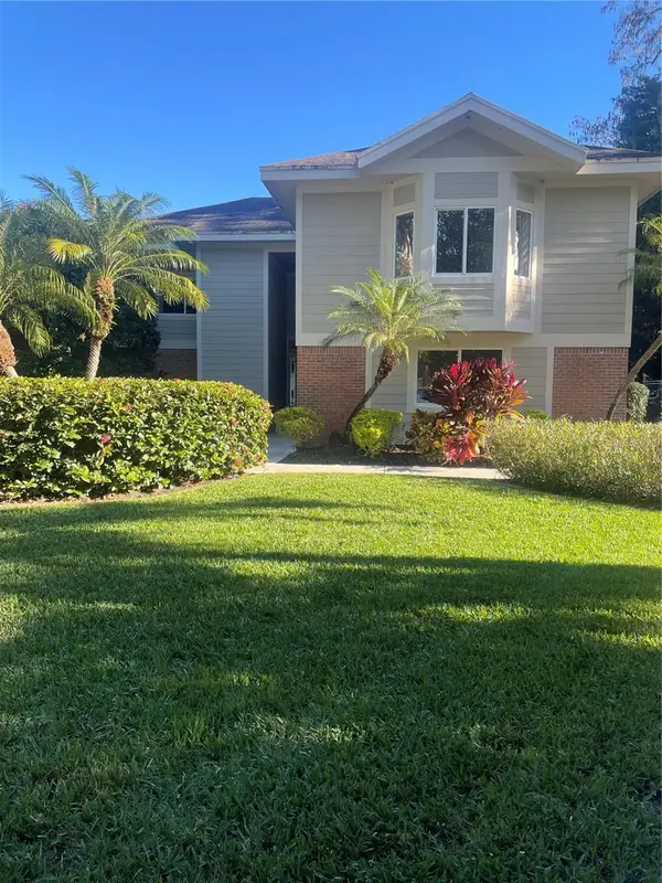 11719 Phoenix Circle, TAMPA, FL 33618