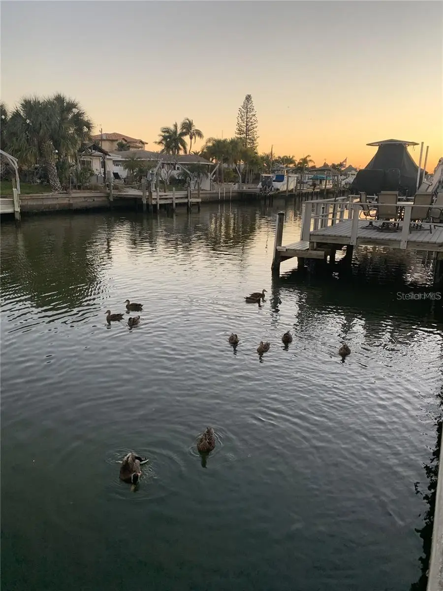 8780 43rd Avenue N #131, Saint Petersburg, FL 33709 - #2