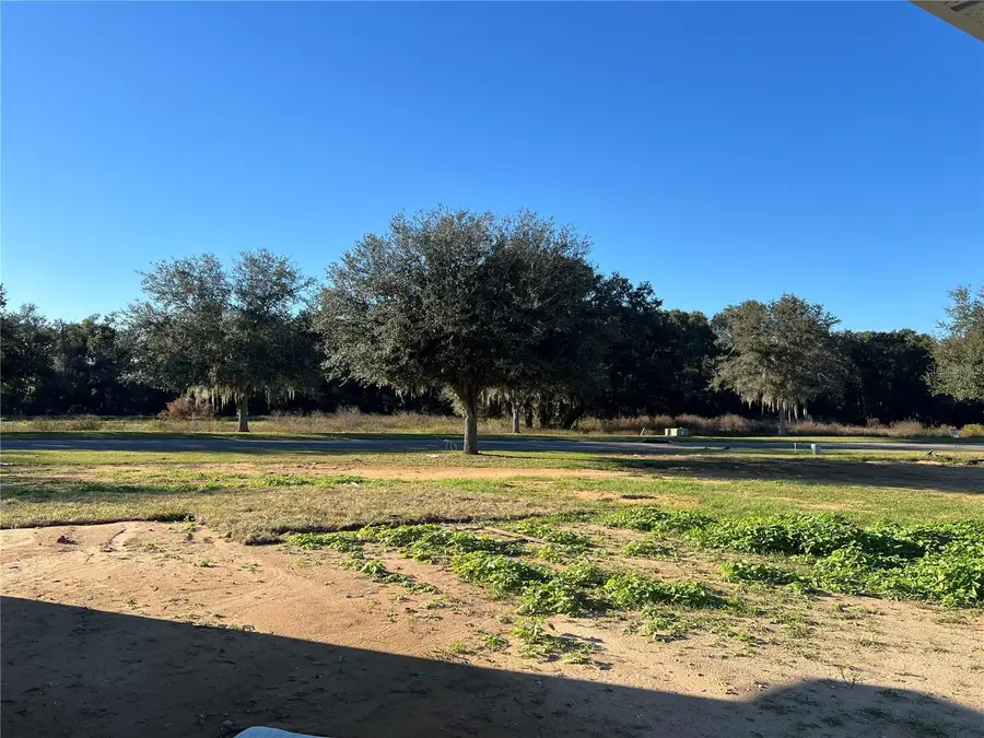 37136 Hidden View, Dade City, FL 33523 - Image #3