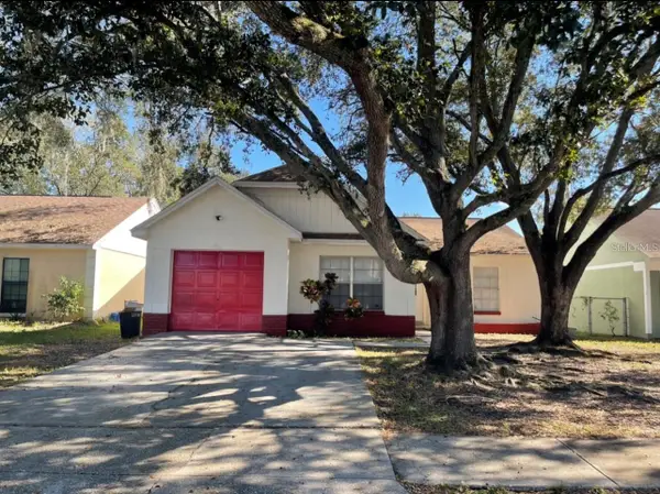 8211 Clermont Street, TAMPA, FL 33637