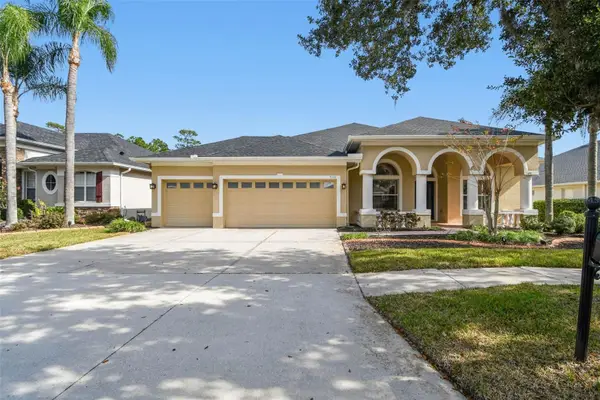 9311 Mangrove Court, TAMPA, FL 33647