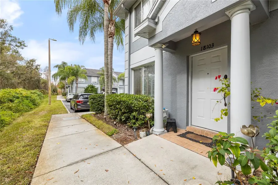 18103 Paradise Point Drive, Tampa, FL 33647 - Image #3
