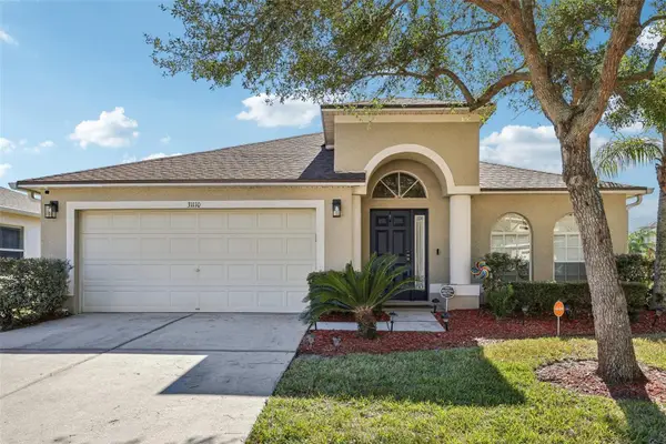 31110 Stone Arch Avenue, WESLEY CHAPEL, FL 33545