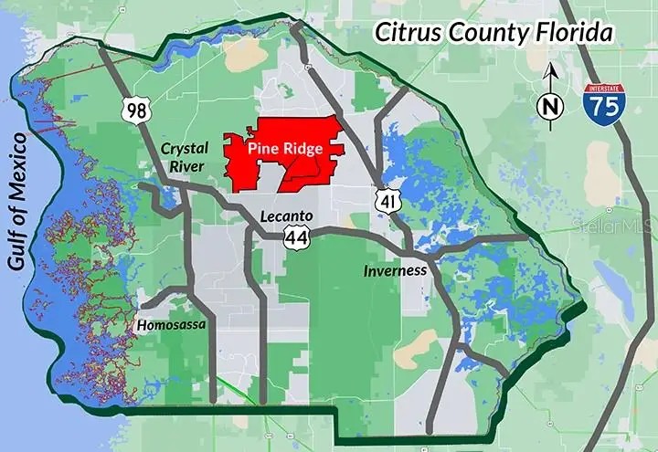 4379 N Baywood Drive, Beverly Hills, FL 34465 - Image #3