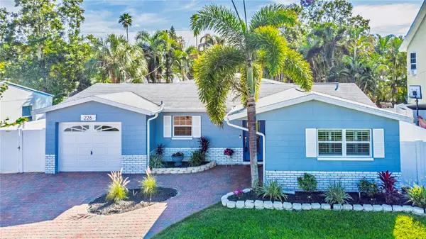 226 81st Avenue N, ST PETERSBURG, FL 33702