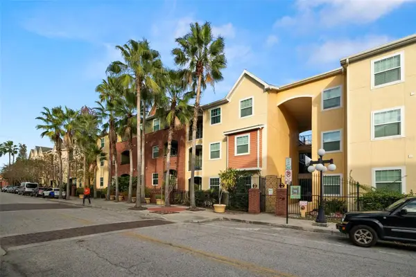 1910 E Palm Avenue #12101, TAMPA, FL 33605