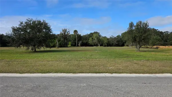 15311 Fishhawk Heights Run, LITHIA, FL 33547