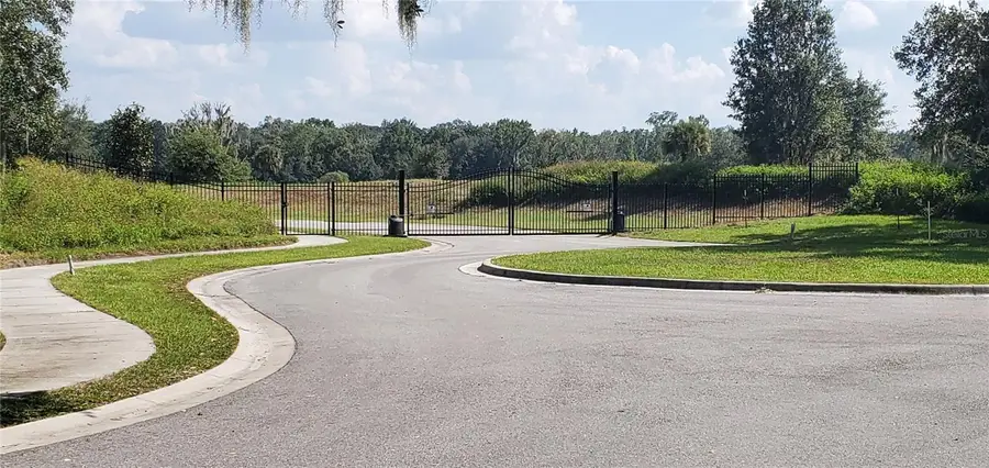 15311 Fishhawk Heights Run, Lithia, FL 33547 - Image #3