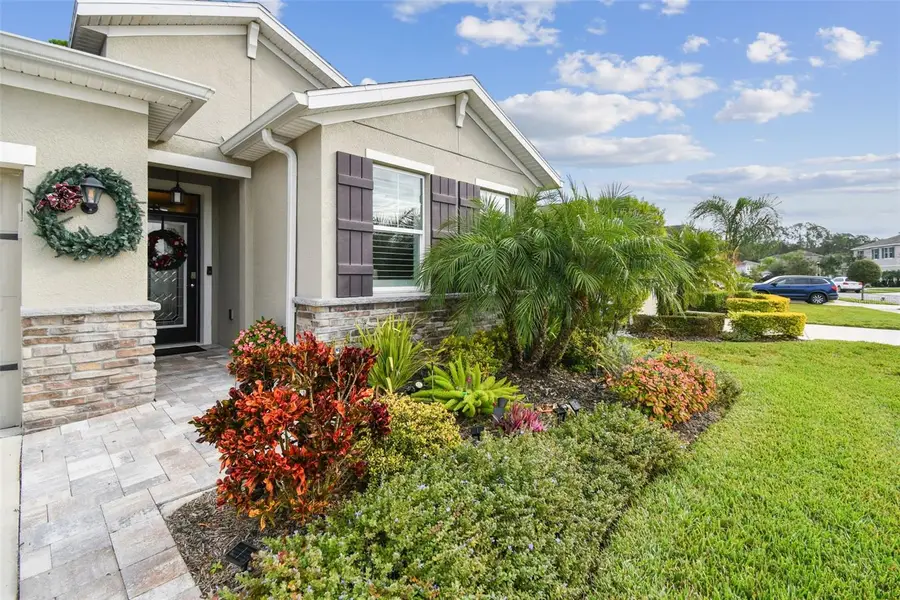 32813 Sand Creek Drive, Wesley Chapel, FL 33543 - Image #2