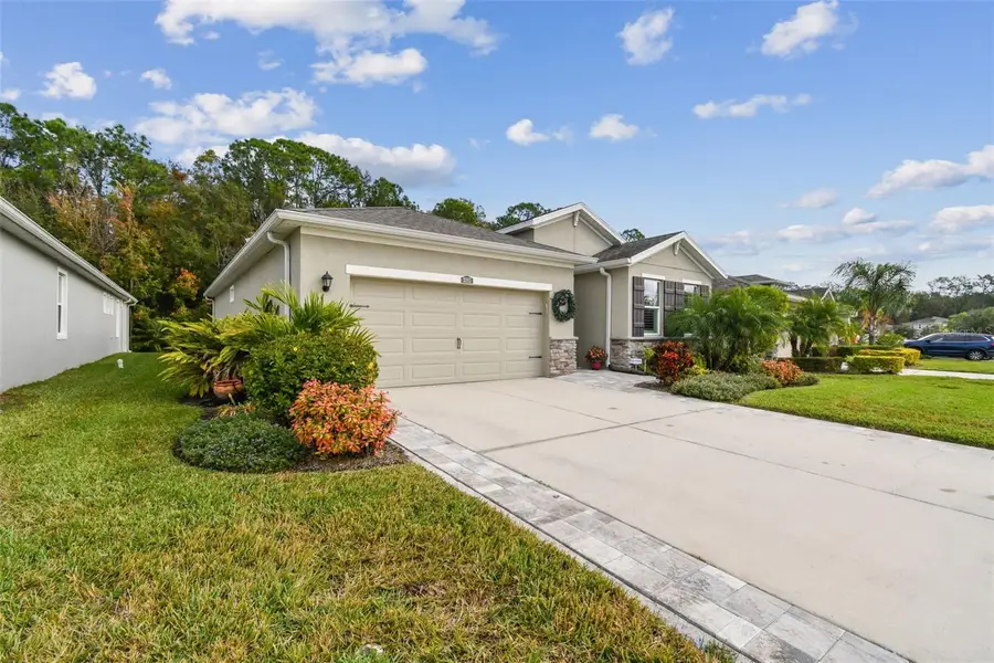 32813 Sand Creek Drive, Wesley Chapel, FL 33543 - Image #3