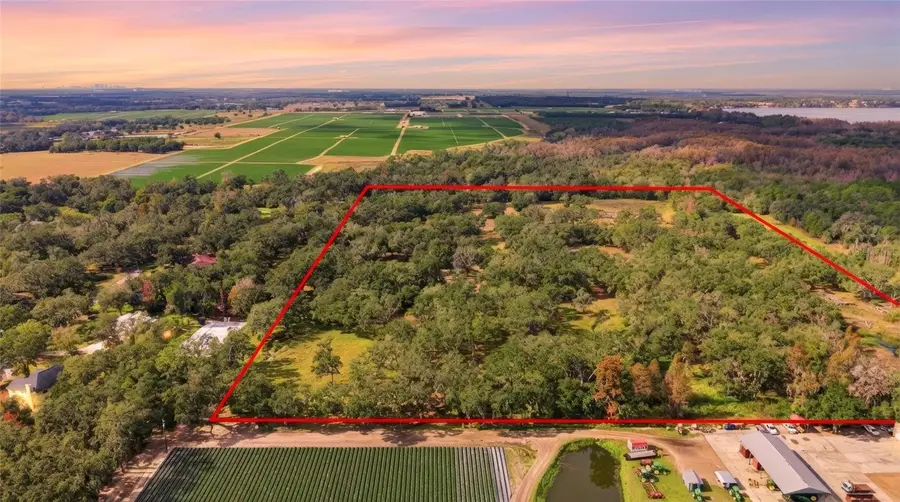 12454 Browns Berry Road, Dover, FL 33527 - Image #2