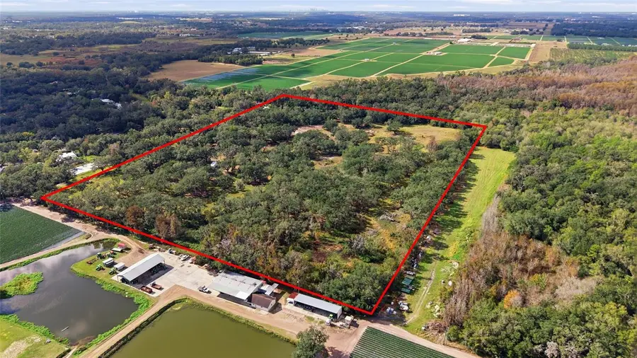 12454 Browns Berry Road, Dover, FL 33527 - Image #3