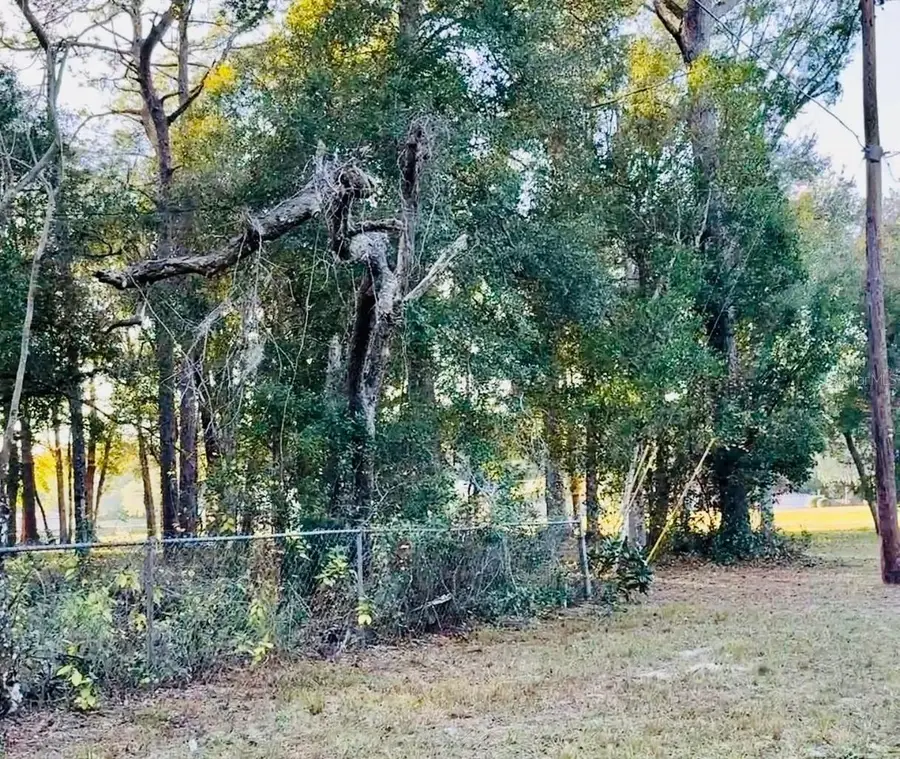 16280 Palacky Street, Brooksville, FL 34604 - Image #3