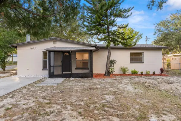 10202 N 25th Street, TAMPA, FL 33612