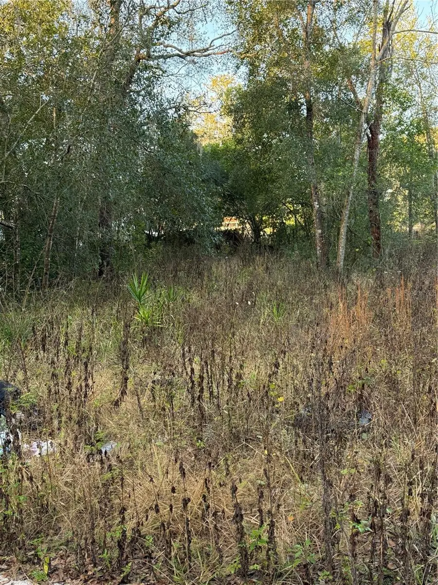 9411 Kissimmee Street, New Port Richey, FL 34654 - Image #1