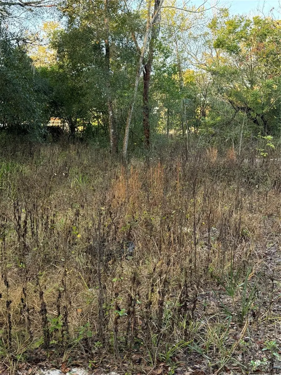 9411 Kissimmee Street, New Port Richey, FL 34654 - Image #2