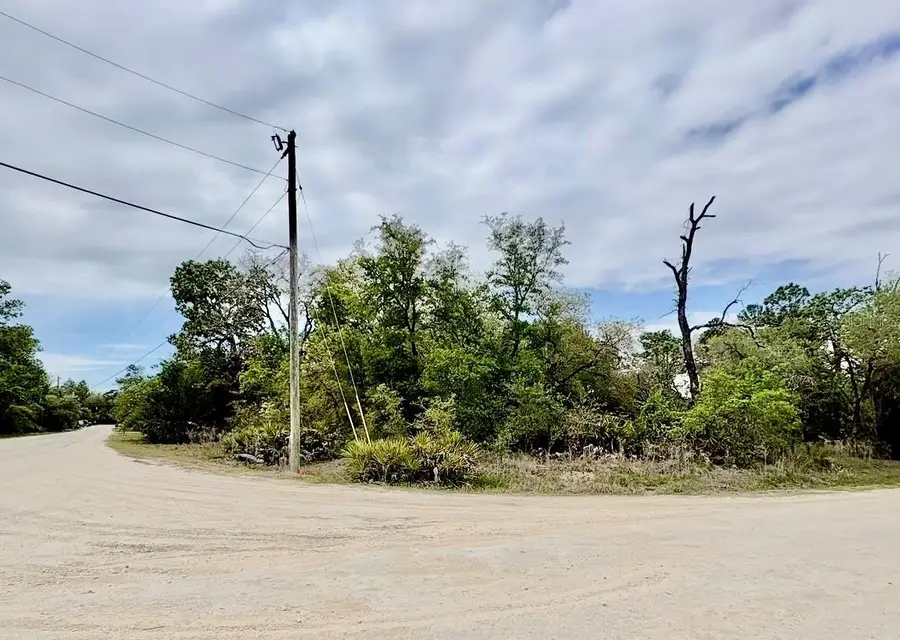 11205 Mountain Mockingbird Road, Weeki Wachee, FL 34614 - #3