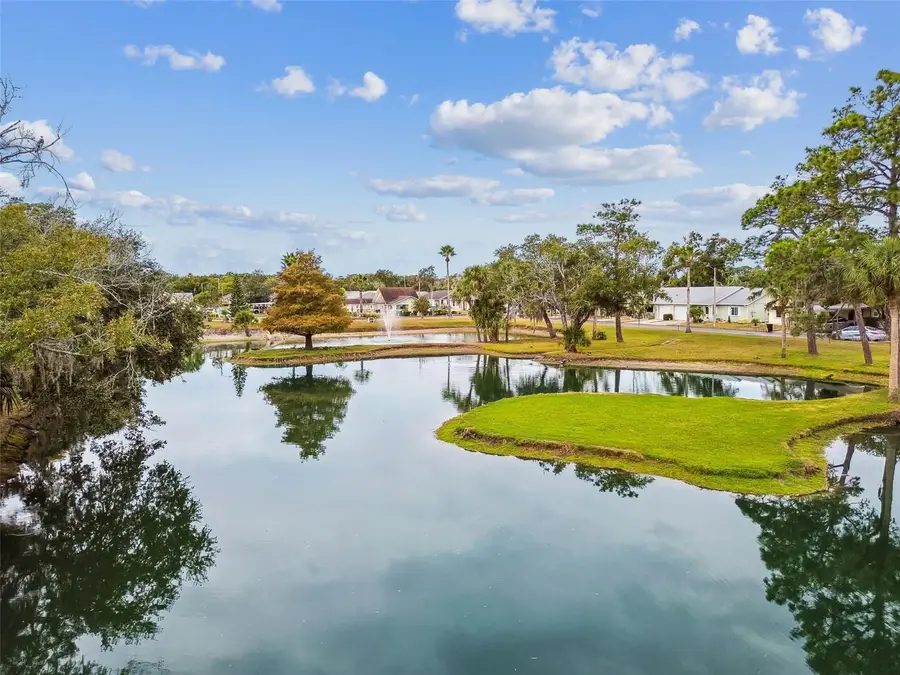 6345 Emerson Drive, New Port Richey, FL 34653 - #3