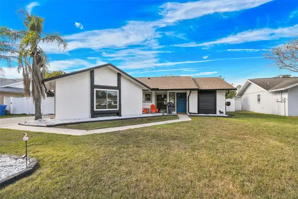 1729 Lake Crest Avenue, BRANDON, FL 33510