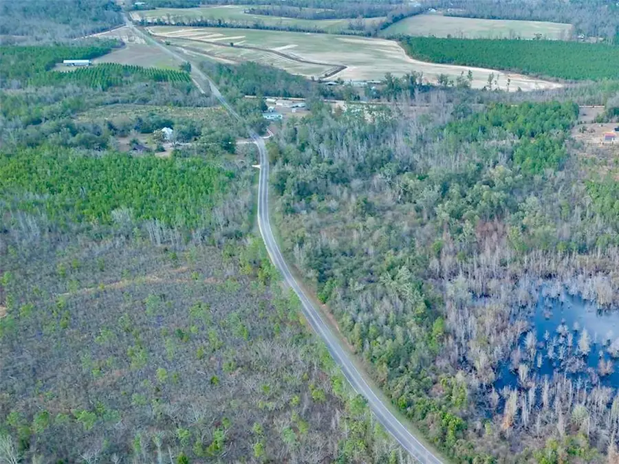 Bethlehem Road, Cottondale, FL 32431 - #3