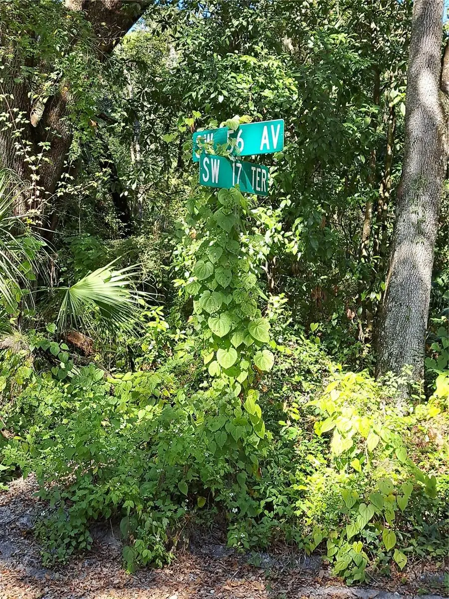 0 SW 56th Avenue, Gainesville, FL 32608 - Image #3