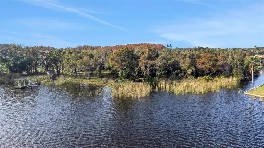 2661 Cyprus Drive, Palm Harbor, FL 34684 - Image #3