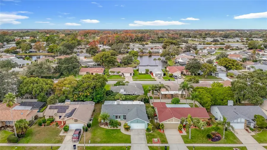 3619 Player Drive, New Port Richey, FL 34655 - Image #3