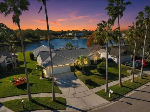 12006 Littleberry Court, TAMPA, FL 33635