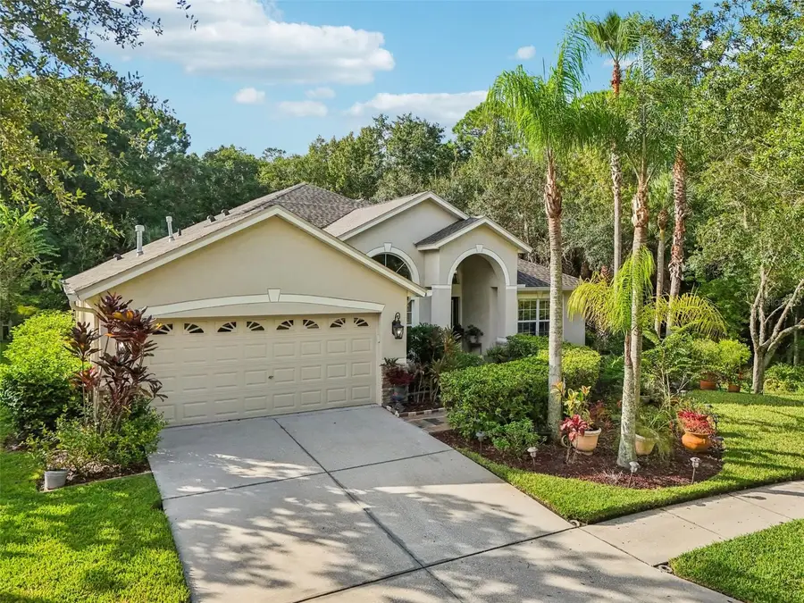 8257 Swann Hollow Drive, Tampa, FL 33647 - Image #2