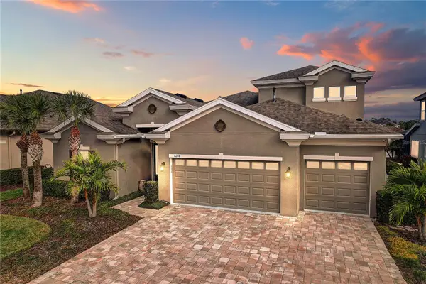 8206 Water Color Drive, LAND O LAKES, FL 34638