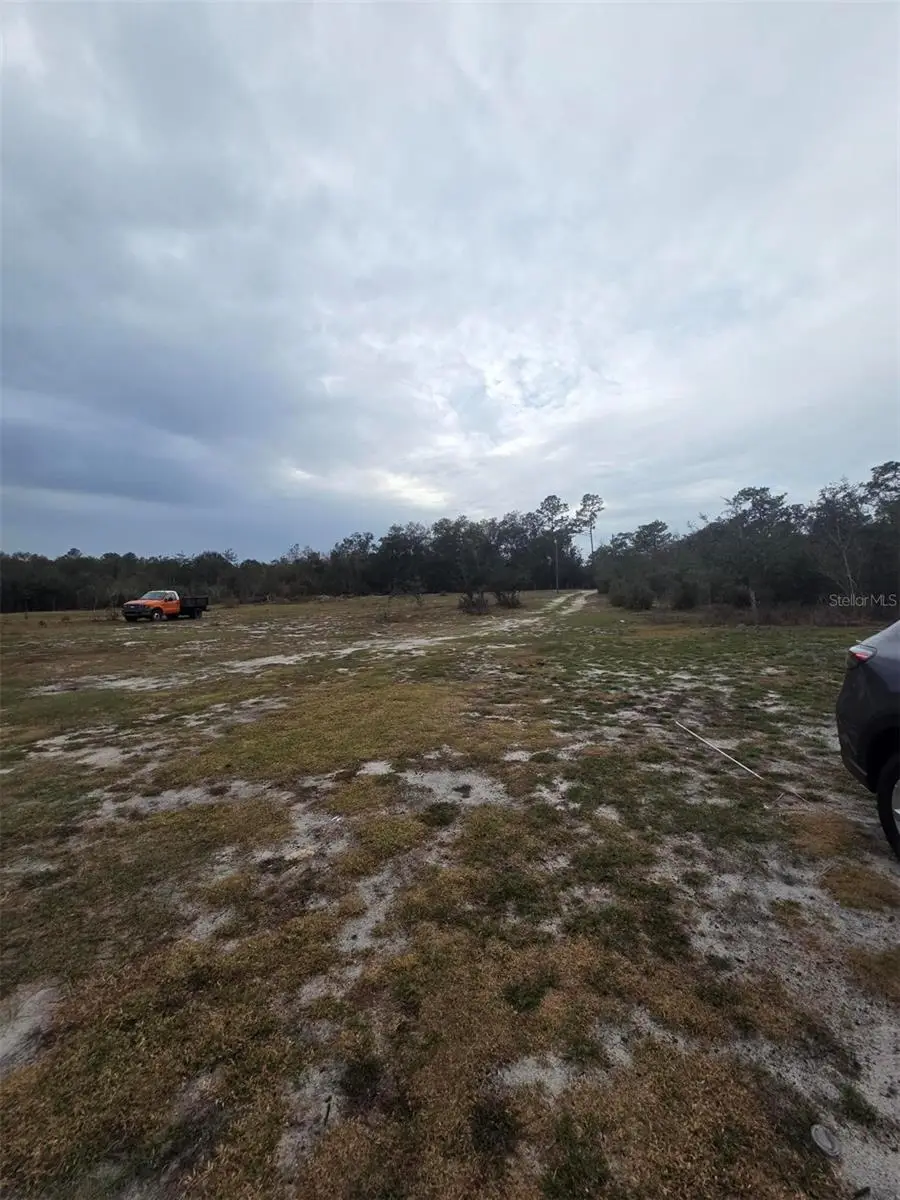 35238 Manuel Street, Webster, FL 33597 - Image #3