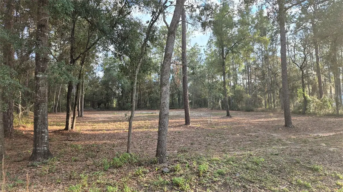 6334 Little Lake Geneva Road, Keystone Heights, FL 32656 - Image #1